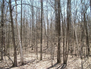 WITHOUT THE HIGH TAXES You will have ACCESS to the FULL - photo 2
