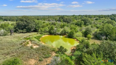 Lake Acreage For Sale in Waelder, Texas