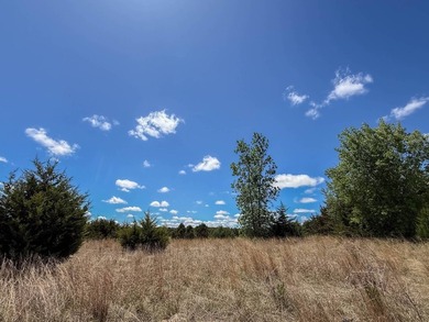 This property features excellent road access, mature trees, and - photo 4