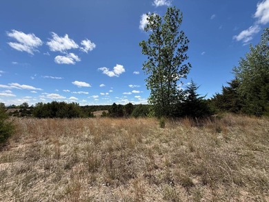 This property features excellent road access, mature trees, and - photo 5