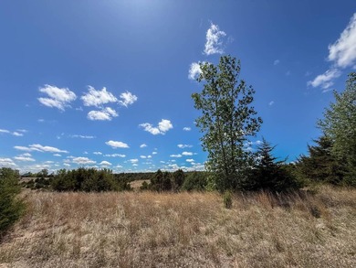 This property features excellent road access, mature trees, and - photo 6