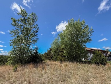 This property features excellent road access, mature trees, and - photo 8