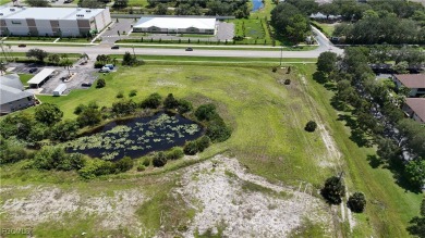 Fantastic opportunity to develop a multifamily project of up to - photo 20