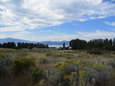 1.02 Acre View Lot Located in Monte Vista Ranch Subdivision - photo 2