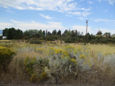 1.02 Acre View Lot Located in Monte Vista Ranch Subdivision - photo 4