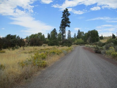 1.02 Acre View Lot Located in Monte Vista Ranch Subdivision - photo 5