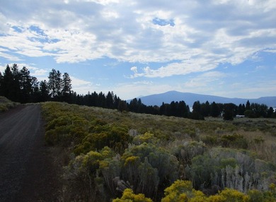 1.02 Acre View Lot Located in Monte Vista Ranch Subdivision - photo 6