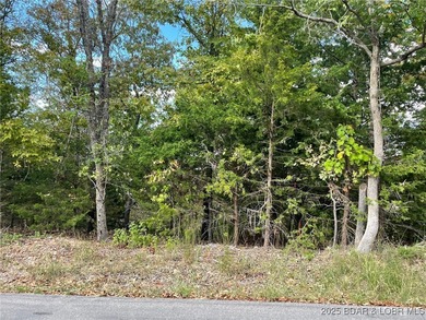 Looking for the perfect spot to build your dream home? This - photo 2