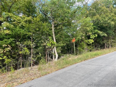 Looking for the perfect spot to build your dream home? This - photo 5