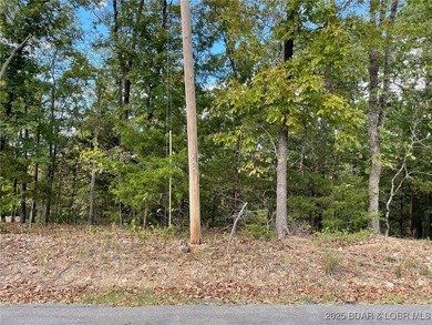 Looking for the perfect spot to build your dream home? This - photo 6