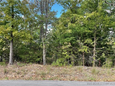 Looking for the perfect spot to build your dream home? This - photo 8