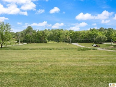 $10,000 concession is offered at closing for grass and - photo 11