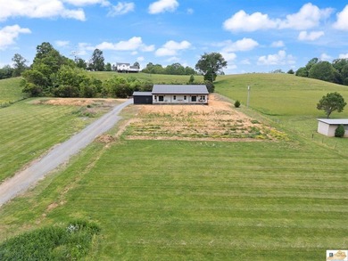 $10,000 concession is offered at closing for grass and - photo 12