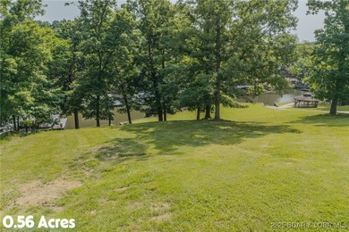 ABSOLUTELY GEORGOUS lake front building lot that is just over - photo 19