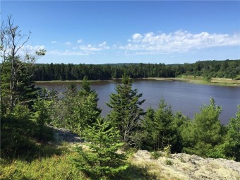 Machias River Acreage For Sale in East Machias Maine