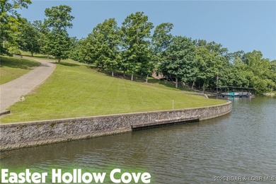 ABSOLUTELY GEORGOUS lake front building lot that is just over - photo 24