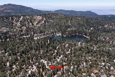 650 Dahlia - photo 28