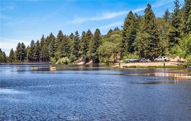 650 Dahlia - photo 30