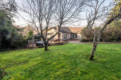 Views! Views! Views! This lovely home is situated on a corner - photo 31