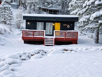 650 Dahlia - photo 33