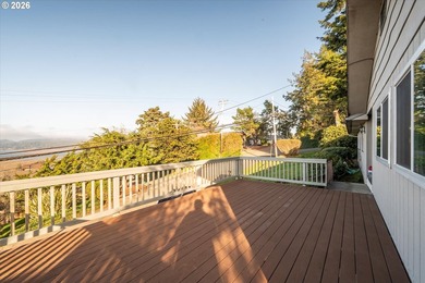 Views! Views! Views! This lovely home is situated on a corner - photo 35