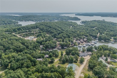 ABSOLUTELY GEORGOUS lake front building lot that is just over - photo 41
