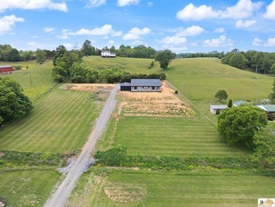 $10,000 concession is offered at closing for grass and - photo 48