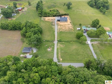 $10,000 concession is offered at closing for grass and - photo 49