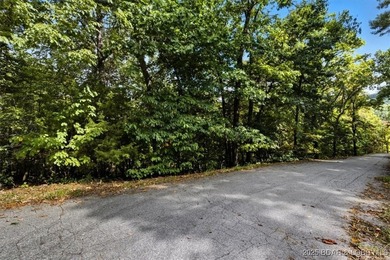 Lakefront opportunity on the 34 MM! This wooded cove location - photo 4