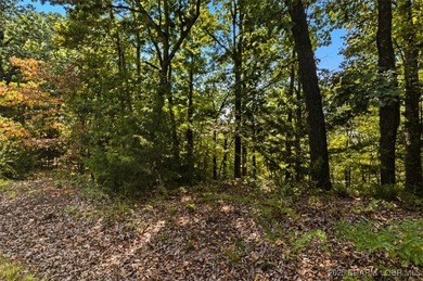 Lakefront opportunity on the 34 MM! This wooded cove location - photo 5