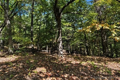 Lakefront opportunity on the 34 MM! This wooded cove location - photo 6