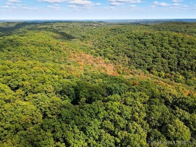 Lakefront opportunity on the 34 MM! This wooded cove location - photo 9