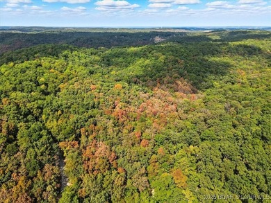 Lakefront opportunity on the 34 MM! This wooded cove location - photo 10