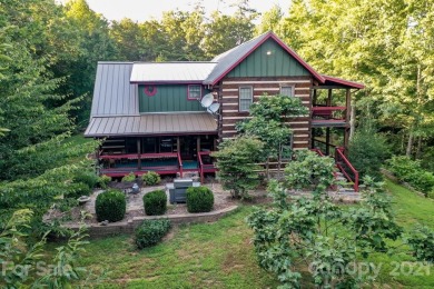 Lake Lure Home For Sale in Lake Lure North Carolina