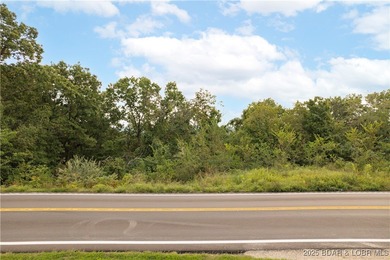 This 18.13-acre property is an incredible opportunity with - photo 3