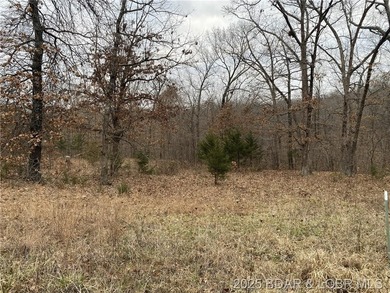 Nicely positioned 4.5 Acre lot perfect for building your new - photo 2