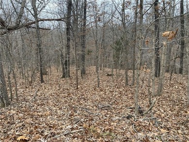 Nicely positioned 4.5 Acre lot perfect for building your new - photo 4
