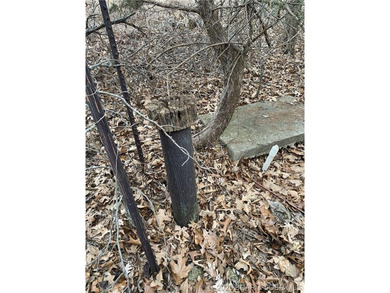Great lot for a hunting cabin, or build your dream home! - photo 2