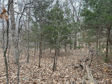 Great lot for a hunting cabin, or build your dream home! - photo 3