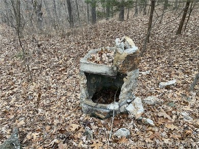 Great lot for a hunting cabin, or build your dream home! - photo 4