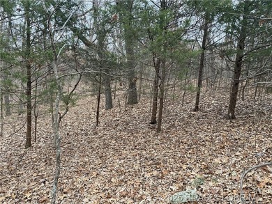 Great lot for a hunting cabin, or build your dream home! - photo 5