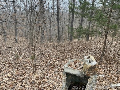 Great lot for a hunting cabin, or build your dream home! - photo 6