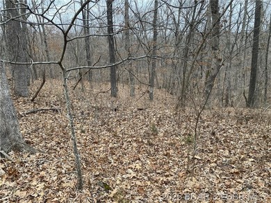 Great lot for a hunting cabin, or build your dream home! - photo 7