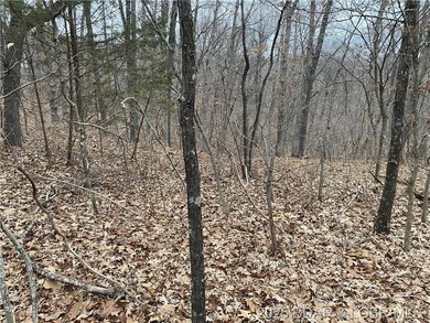 Great lot for a hunting cabin, or build your dream home! - photo 8