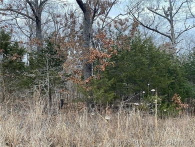 Great lot for a hunting cabin, or build your dream home! - photo 9