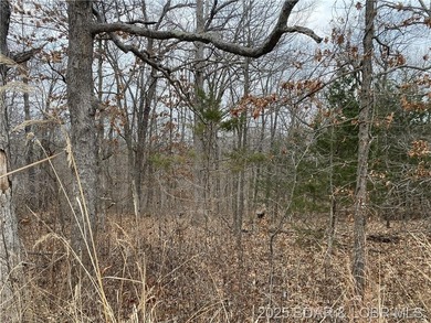 Great lot for a hunting cabin, or build your dream home! - photo 10