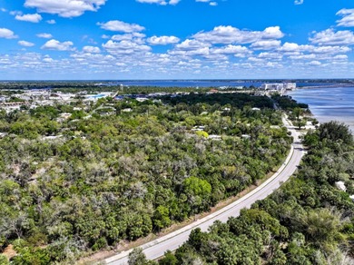 Charlotte Harbor Gateway off Bayshore presents a rare - photo 1