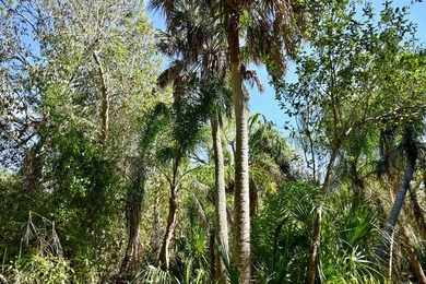 Charlotte Harbor Gateway off Bayshore presents a rare - photo 5