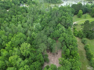 NO DEED RESTRICTIONS - MOBILE HOMES OK! - Discover your private - photo 3