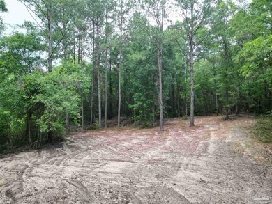 NO DEED RESTRICTIONS - MOBILE HOMES OK! - Discover your private - photo 8